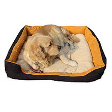 寵物專用品 從必需品到生活美學(xué)，打造愛寵的健康與快樂(lè)生活