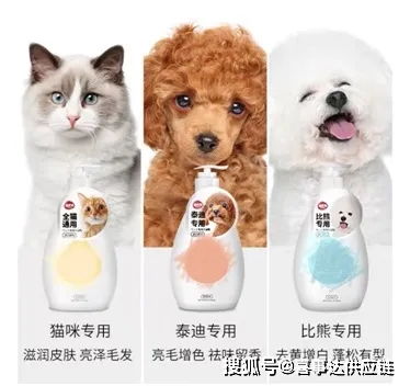 從美國市場(chǎng)洞察寵物用品分類與增長(zhǎng)趨勢(shì)