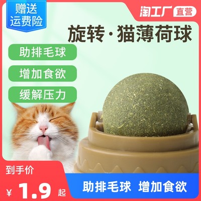 萌寵經(jīng)濟(jì)崛起 網(wǎng)購寵物用品成消費(fèi)新趨勢(shì)